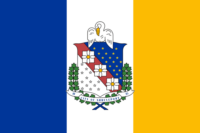 Antwerp (City) flag image preview