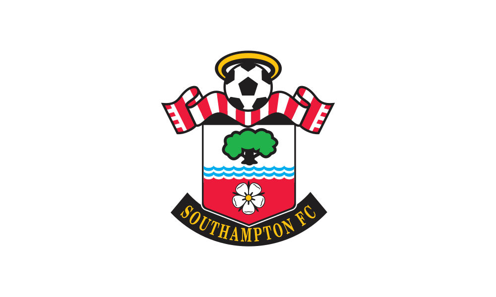 Southampton F.C. flag image preview