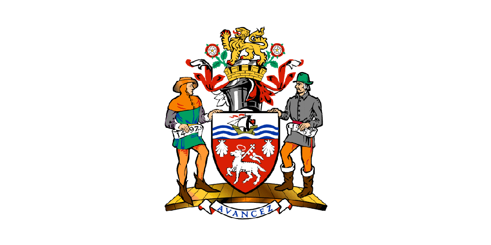 St. John’s flag image preview