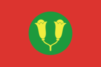 Yihetuan (1890s–1901) flag image preview