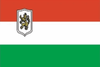 Sao Rico flag image preview
