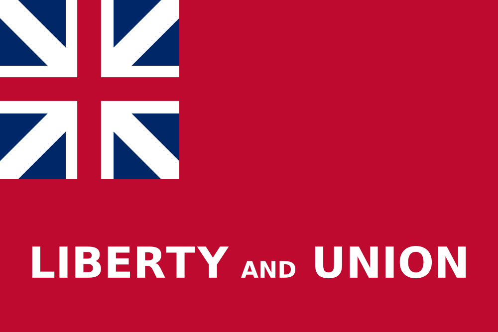 Taunton flag image preview