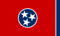 South Carolina flag image preview