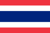 Paraguay (Reverse) flag image preview