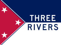 Austin flag image preview