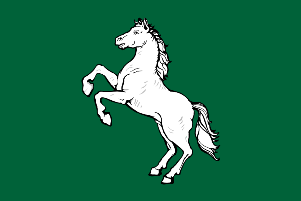 Tomsk flag image preview