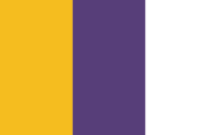 Transgender flag image preview