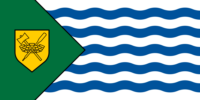 Brasilia flag image preview