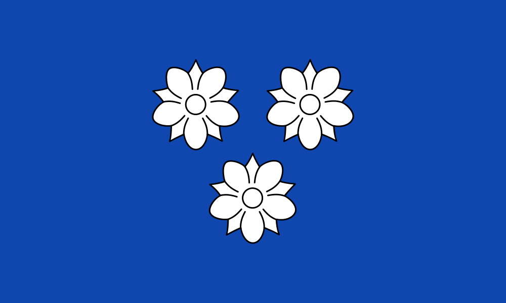 Viersen (City) flag image preview
