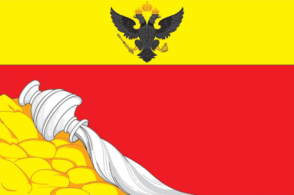 Voronezh flag image preview