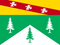 Bryansk Oblast flag image preview