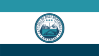 Brooklyn flag image preview