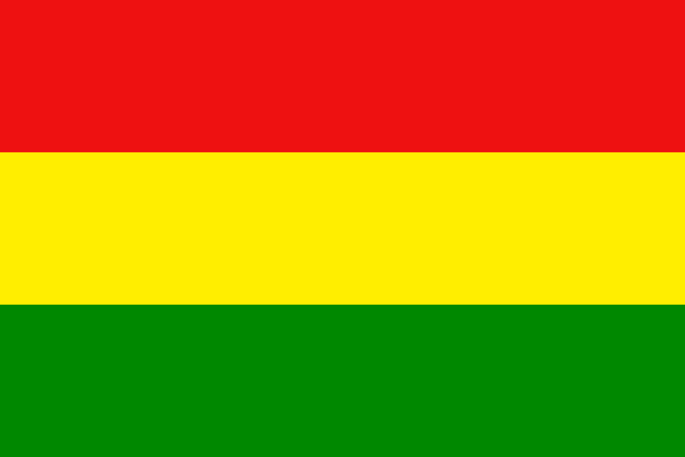 Yopal Original flag