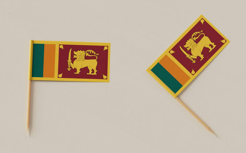 Flag pins of Sri Lanka