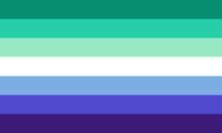 Transgender flag image preview