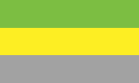 Gilbert Baker’s 9-Stripe Rainbow Pride flag image preview