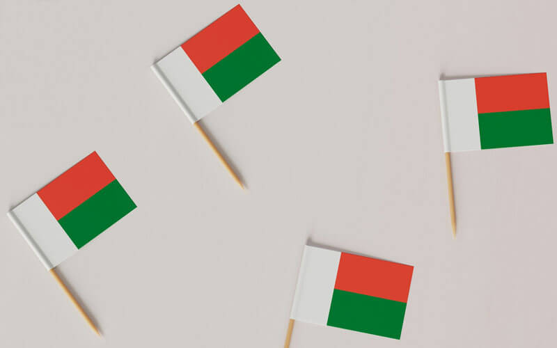 Madagascar flag pins