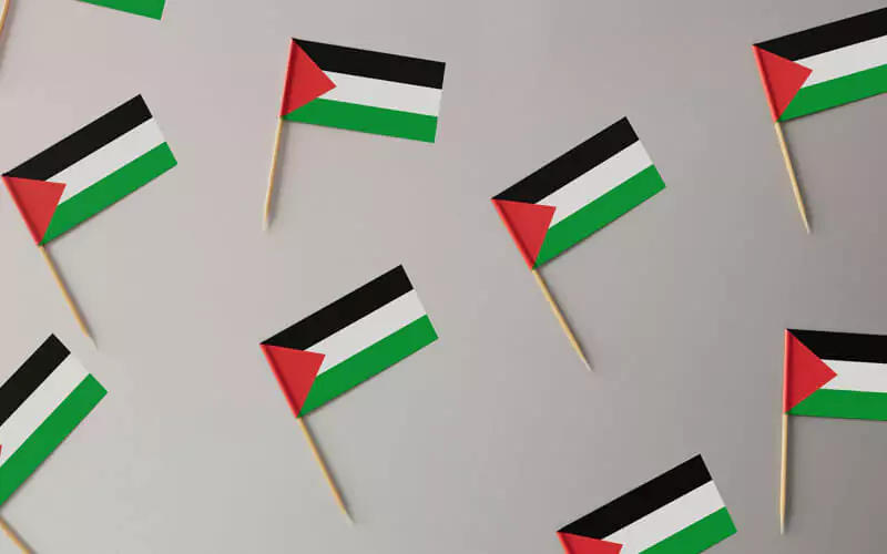 Palestinian flag pins