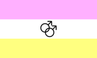 Genderflux flag image preview