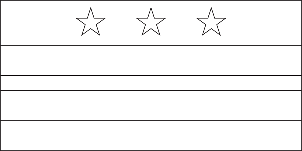 Washington D. C. Outline flag