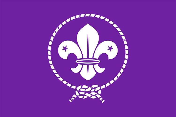 Scouts flag image preview