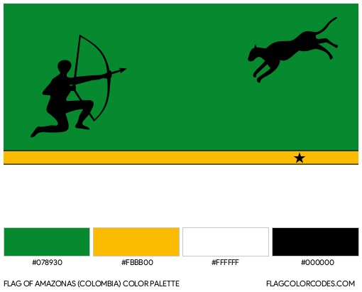 Amazonas Flag Color Palette