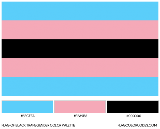 Black Transgender Flag Color Palette