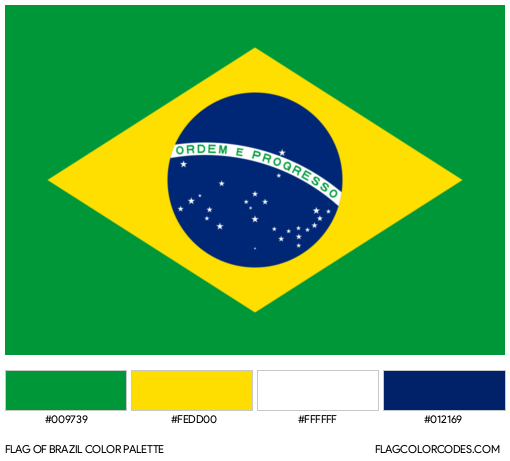 Brazil Flag Color Palette