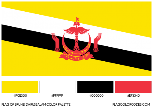 Brunei Darussalam Flag Color Palette