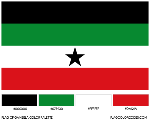 Gambela Flag Color Palette