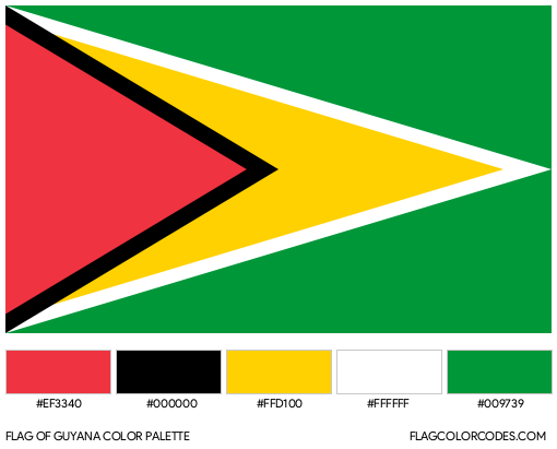 Guyana Flag Color Palette