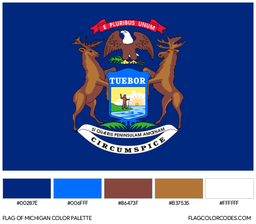 Michigan Flag Color Palette