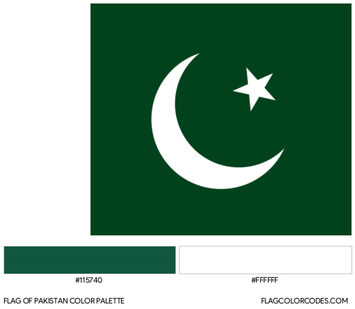 Pakistan Flag Color Palette