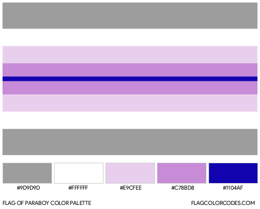 Paraboy Flag Color Palette