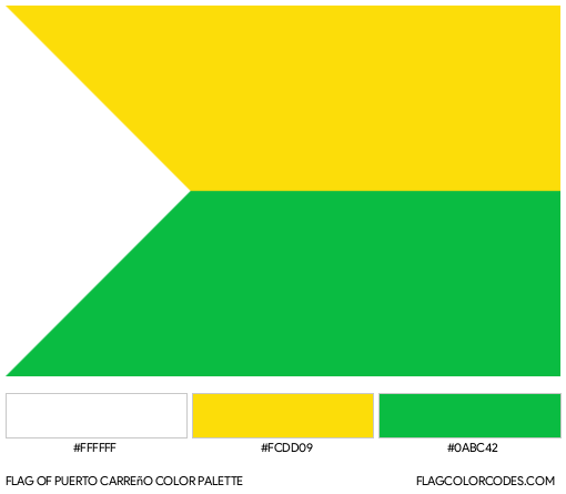 Puerto Carreño Flag Color Palette