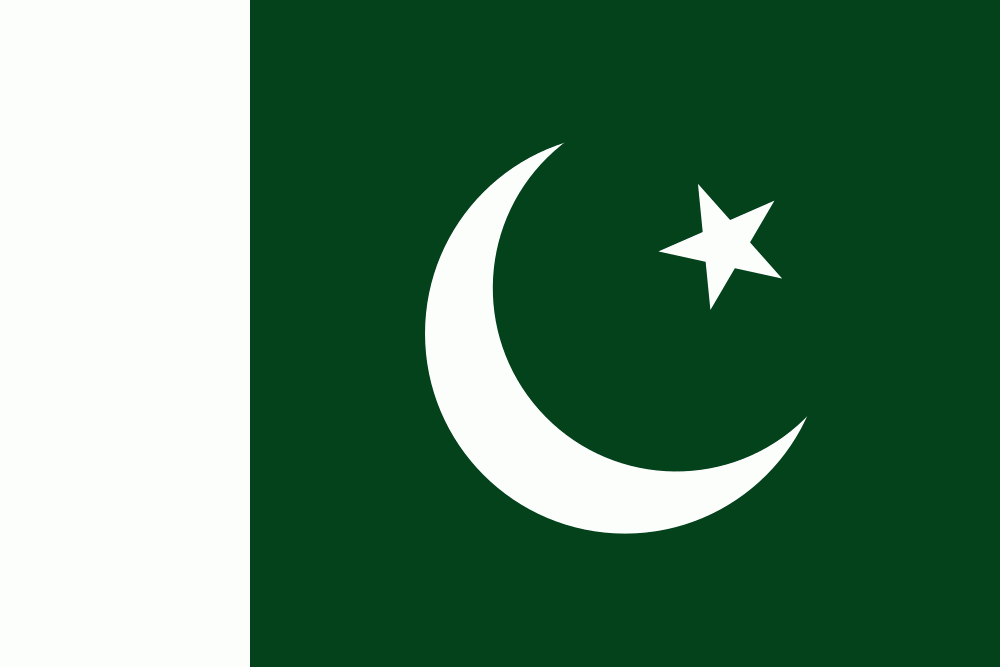Pakistan Flag Kids High-Res Vector Graphic - Getty Images
